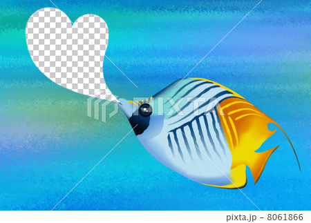 トゲチョウチョウウオ 8061866