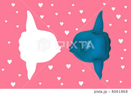 マンボウ 8061868