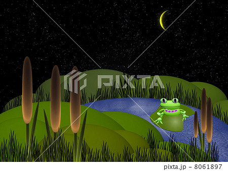 green frog 8061897