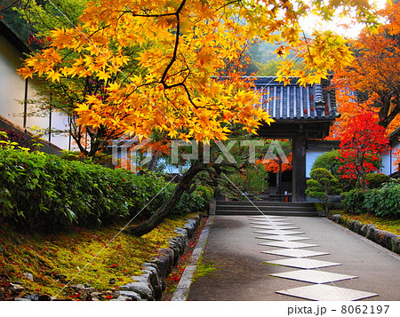 最勝院高徳庵の紅葉の写真素材