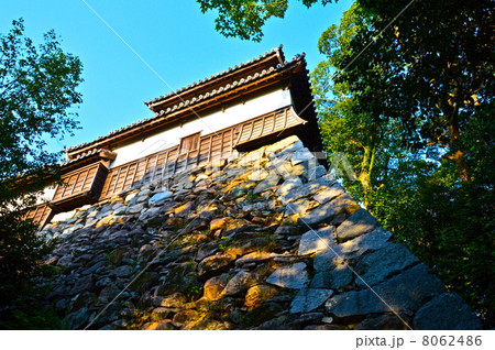 福岡城の「南ノ丸 多聞櫓」（福岡県福岡市中央区城内） 8062486