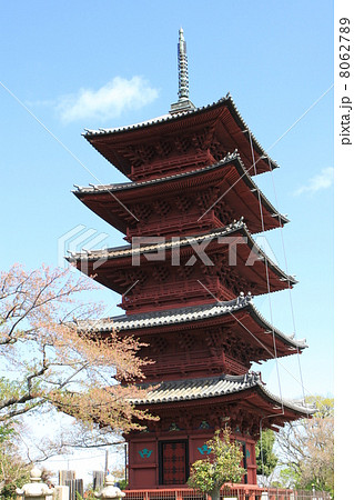 池上本門寺の五重塔 池上本門寺の五重塔 8062789