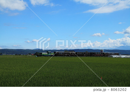 富良野線ノロッコ号 8063202