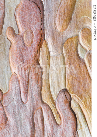 pine bark 8063821