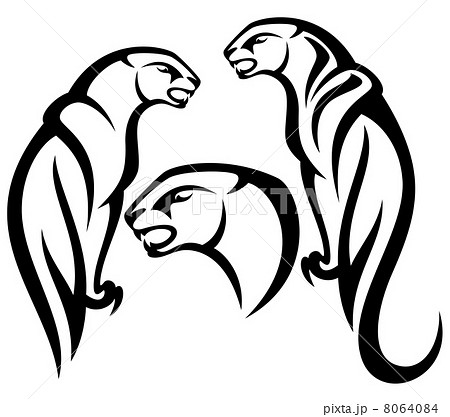 panther tribal vector design - black and white outline 8064084