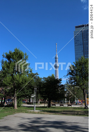 スカイツリー スカイツリー 8064414