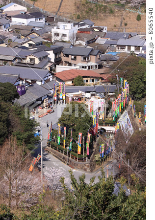 春、のぼりが並ぶ「金毘羅大芝居」開催中の金丸座周辺 8065540