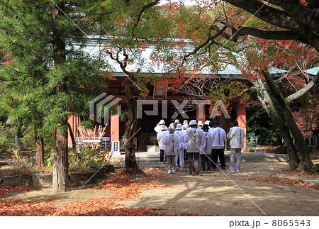 四国霊場第82番札所「根香寺」紅葉と大師堂 四国霊場第82番札所「根香寺」紅葉と大師堂 8065543