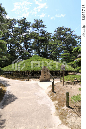 香川県丸亀市「中津万象園」（丸亀藩京極家の回遊式大名庭園）の「大傘松」 8065718