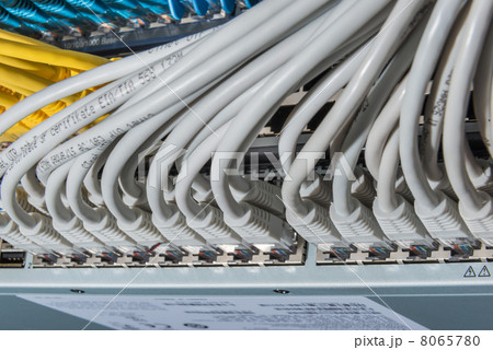 network cables connected to switch 8065780