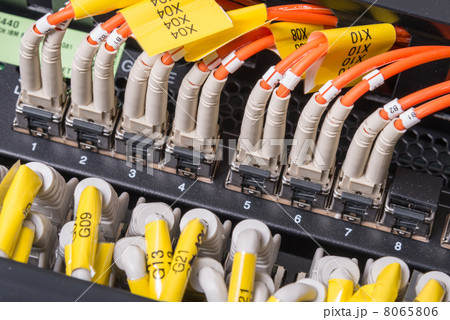 network cables connected to switch 8065806
