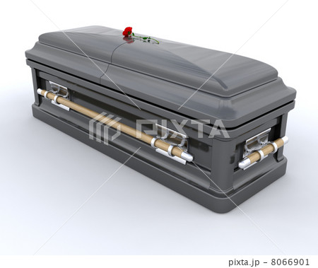 Burial Casket 8066901