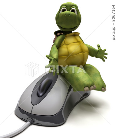 Tortoise with a computer mouse 8067164