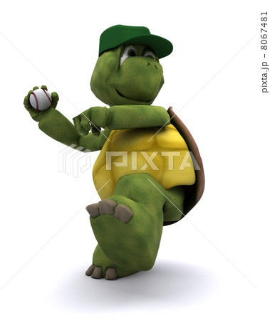 Tortoise playing basball 8067481