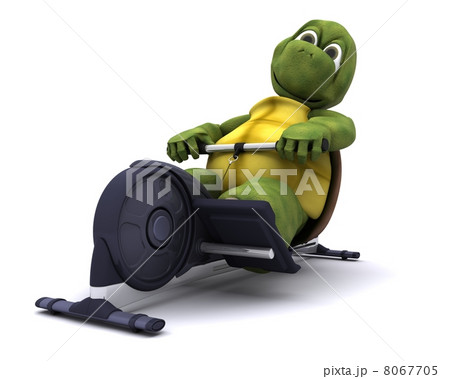 tortoise training on a rowing machine 8067705