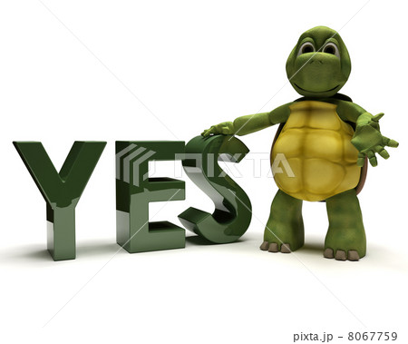 tortoise with a yes sign 8067759