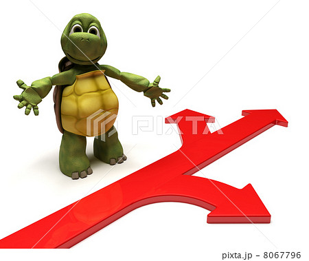 Tortoise with arrows Tortoise with arrows 8067796