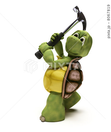 Tortoise with a claw hammer 8067819