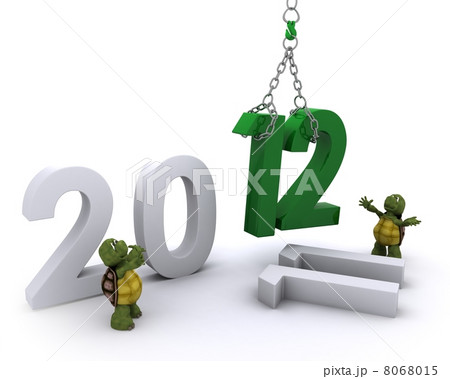 Tortoise Bringing the new year in 8068015