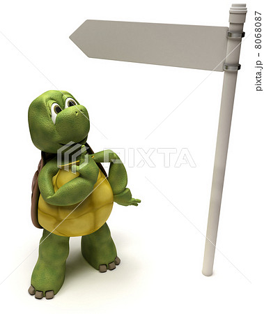 Tortoise with a signpost 8068087