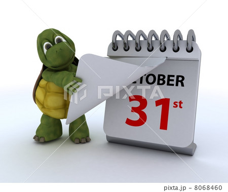 tortoise with a calendar tortoise with a calendar 8068460