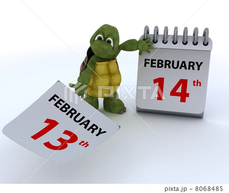 tortoise with a calendar 8068485