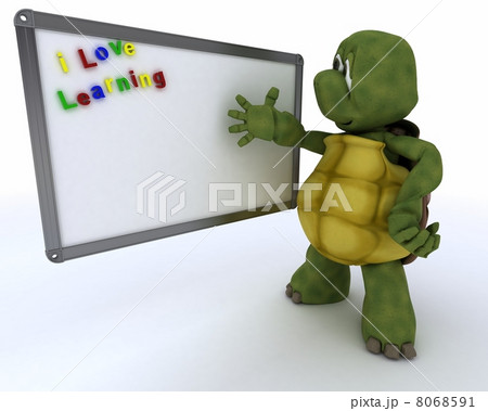 tortoise with White class room drywipe marker board 8068591