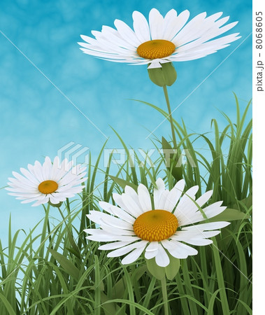 Spring Flowers in Grass on blue sky Spring Flowers in Grass on blue sky 8068605