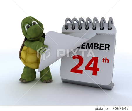 tortoise with a calendar 8068647