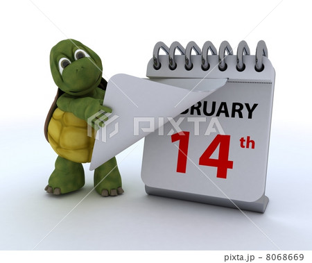 tortoise with a calendar tortoise with a calendar 8068669