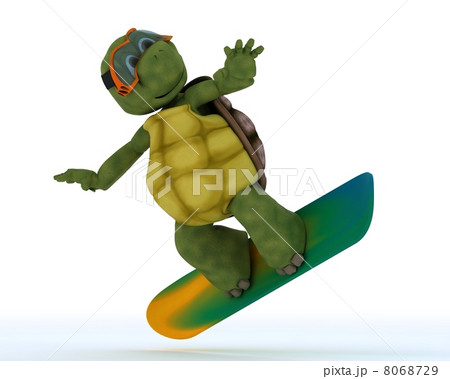 tortoise riding a snowboard 8068729