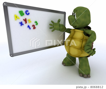 tortoise with White class room drywipe marker board 8068812