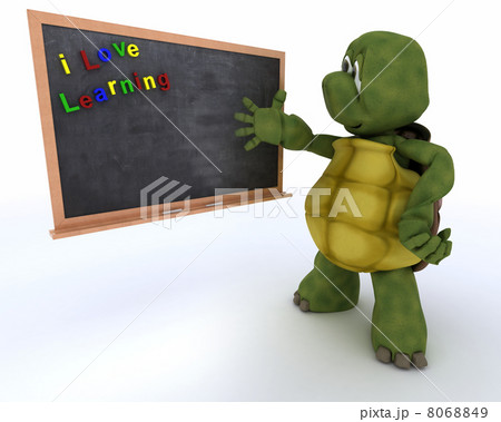 tortoise with school chalk board 8068849