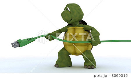 tortoise with a RJ45 cable tortoise with a RJ45 cable 8069016