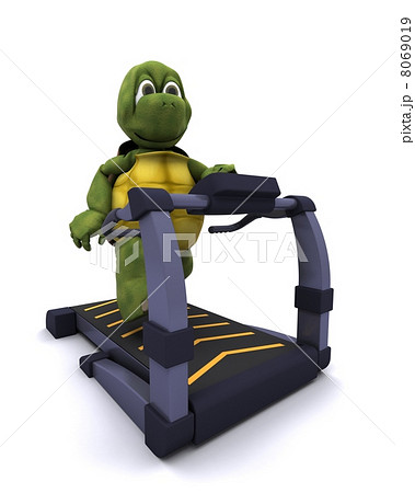 Tortoise running on a treadmill 8069019