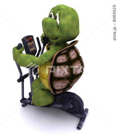 tortoise runnning on a cross trainer 8069020