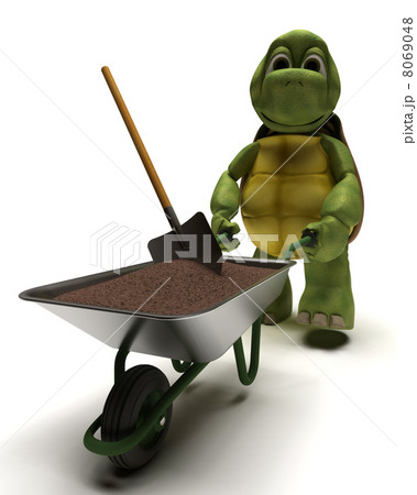 tortoise gardener with a wheel barrow carrying soil 8069048