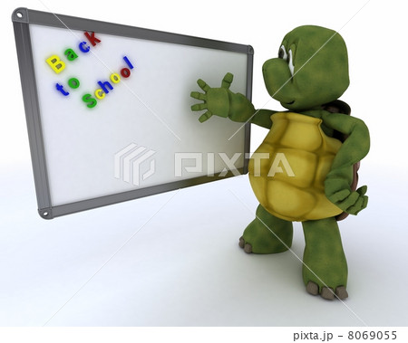 tortoise with White class room drywipe marker board 8069055