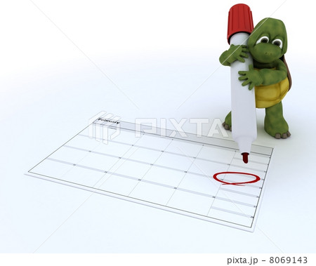 tortoise with a calendar 8069143