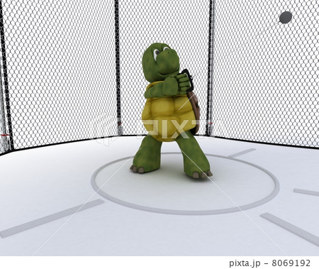 tortoise competing in hammer throw tortoise competing in hammer throw 8069192