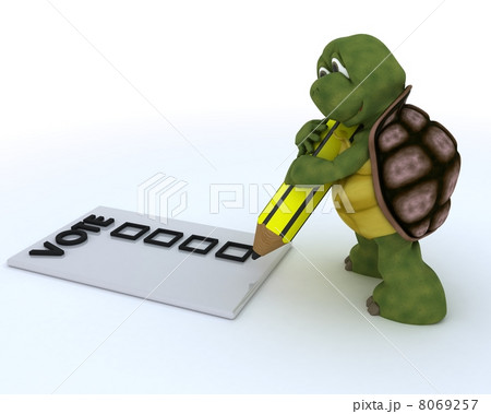 tortoise casting a vote in election 8069257