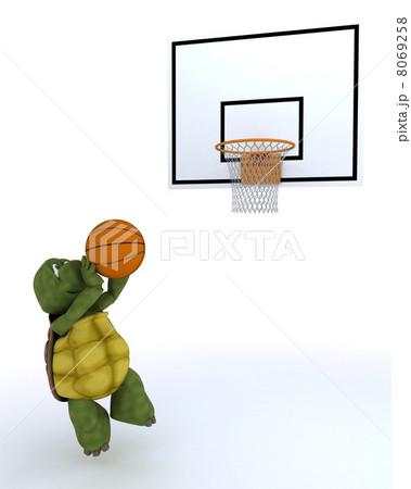 tortoise playing basket ball 8069258