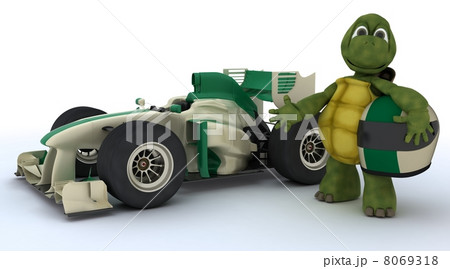 tortoise with racing car 8069318