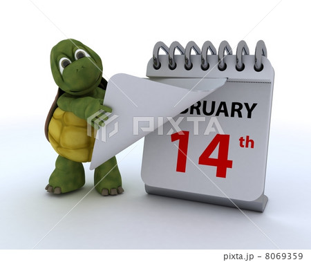 tortoise with a calendar tortoise with a calendar 8069359