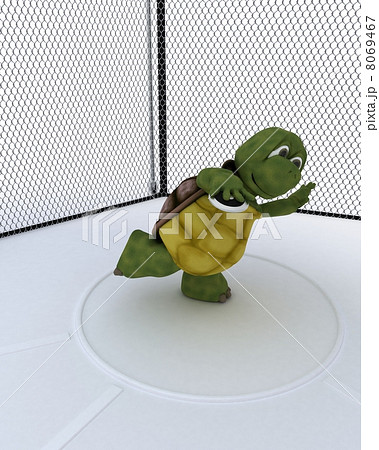 tortoise competing in discus 8069467