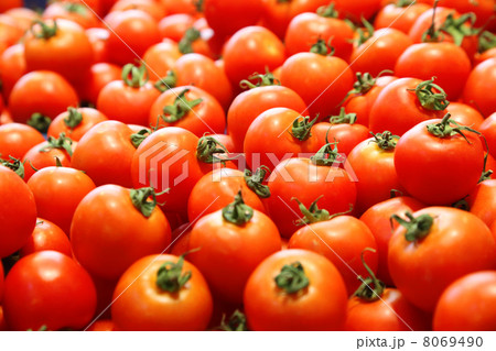 トマト 8069490