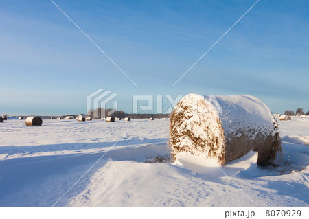 Hay bales on the field 8070929