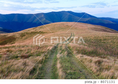 summer misty mountain landscape 8071131