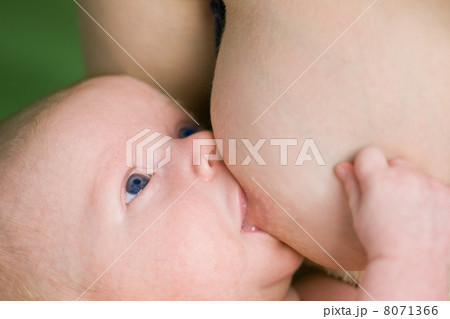 newborn 8071366