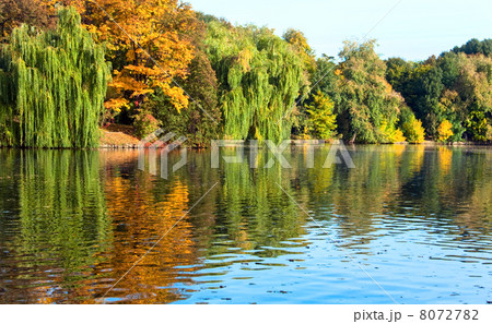 Autumn city park 8072782